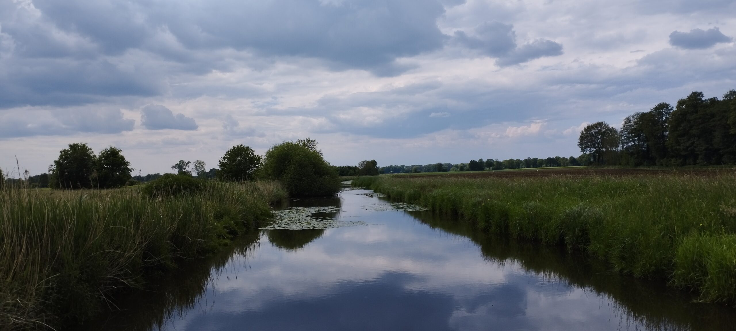 Münsterland